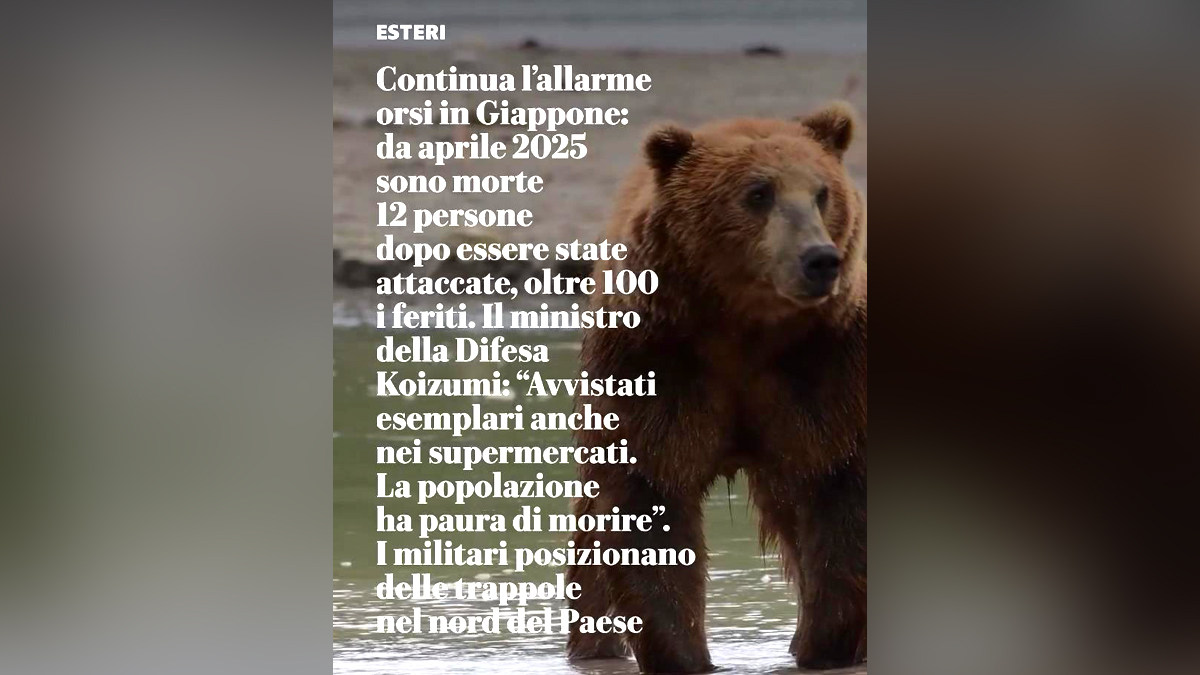 Στην Ιαπωνία ο στρατός κυνηγάει αρκούδες