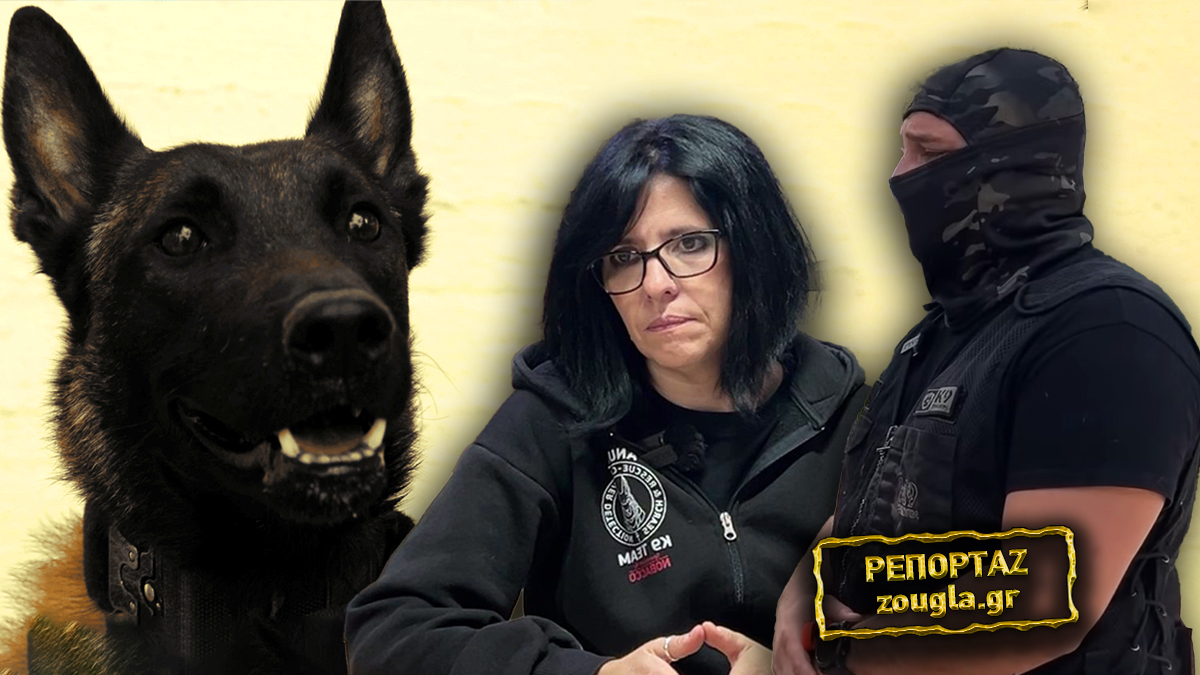 Δηλητηρίασαν τον θρυλικό «Εcho» για να στείλουν μήνυμα στους εκπαιδευτές του