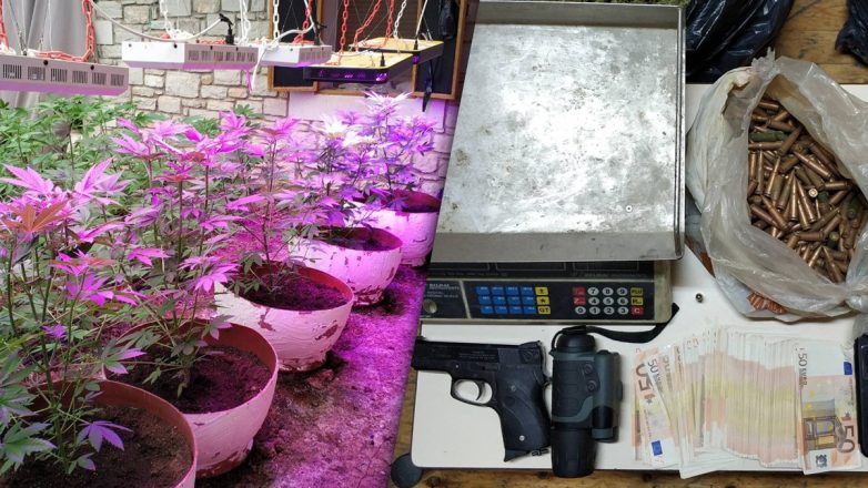 Κρήτη: Από τις ζωοκλοπές, στις χασισοφυτείες και στην κοκαΐνη από την Ολλανδία