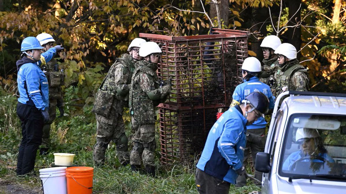 Ιαπωνία: Στρατός εναντίον… αρκούδων