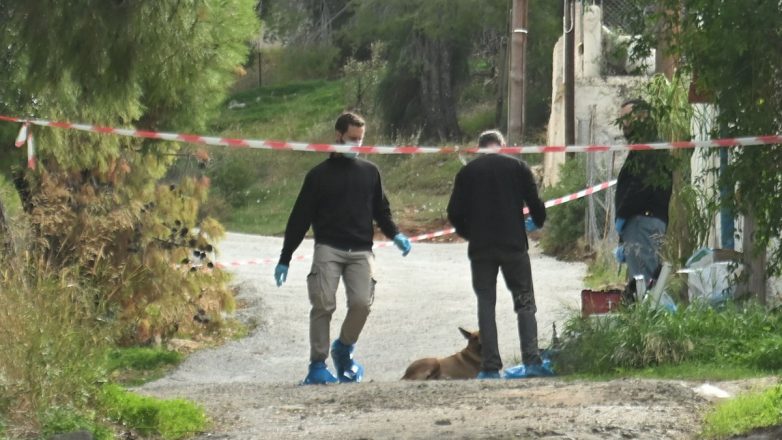 Σαλαμίνα: Σοκ από τη νεκροψία της 75χρονης – Τραύματα από ρόπαλο μαχαίρι  κατσαβίδι