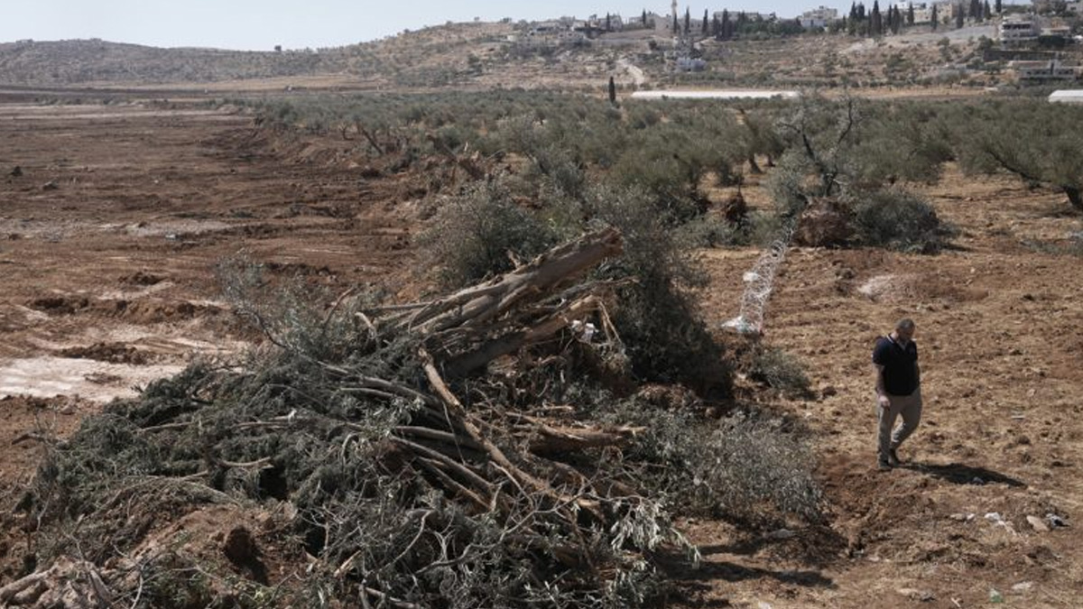 Δυτική Όχθη: Ισραηλινοί έποικοι επιτέθηκαν σε Παλαιστίνιους και δημοσιογράφους