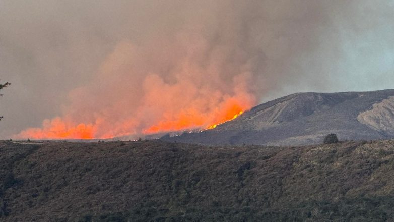 Μεγάλη πυρκαγιά σε εθνικό πάρκο της Νέας Ζηλανδίας