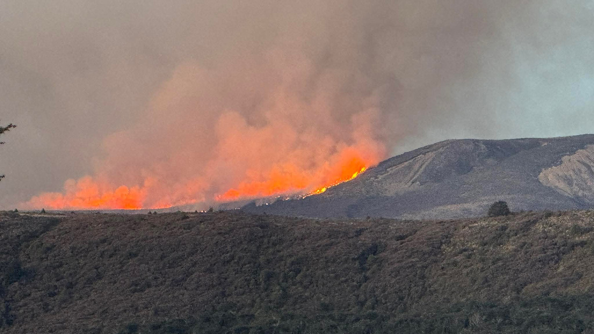 Μεγάλη πυρκαγιά σε εθνικό πάρκο της Νέας Ζηλανδίας