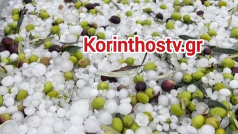 Κορινθία: Ολοκληρωτική καταστροφή στις καλλιέργειες από την χαλαζόπτωση