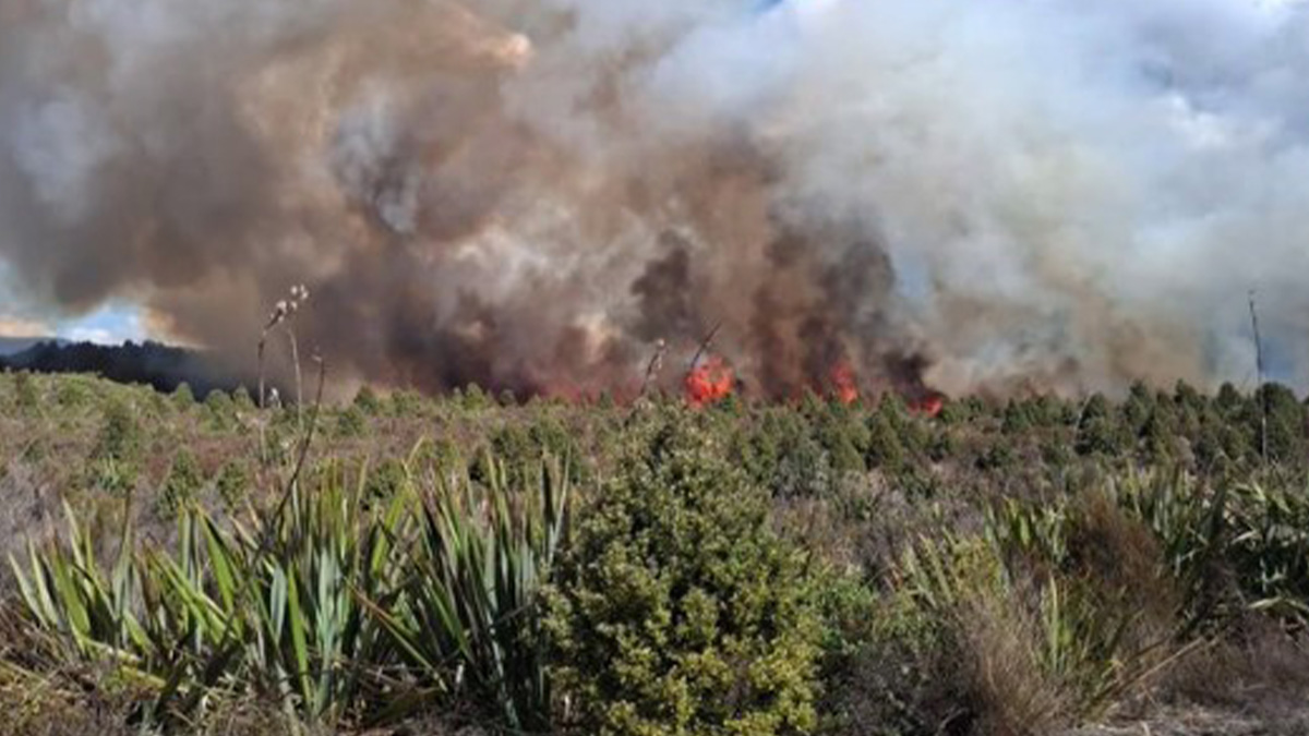 Βροχή έσβησε τη μεγάλη πυρκαγιά που έκαιγε το παλαιότερο εθνικό πάρκο της Νέας Ζηλανδίας