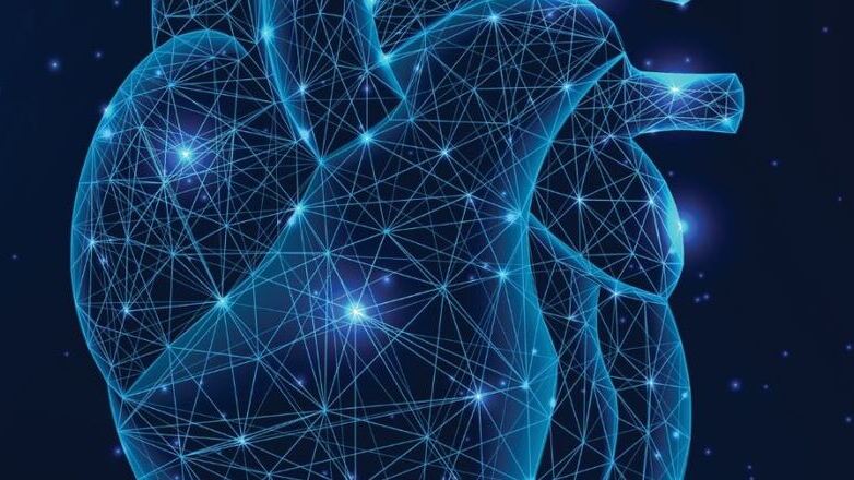 Καρδιακές βαλβίδες και σύγχρονες διακαθετηριακές τεχνικές