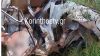 Κόρινθος: Τροχαίο με έναν νεκρό και δυο σοβαρά τραυματίες