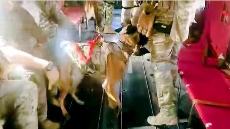 «ΩΡΙΩΝ-25»: Εκπαιδευμένοι σκύλοι και drone – καμικάζι από τις Ελληνικές Ειδικές Δυνάμεις