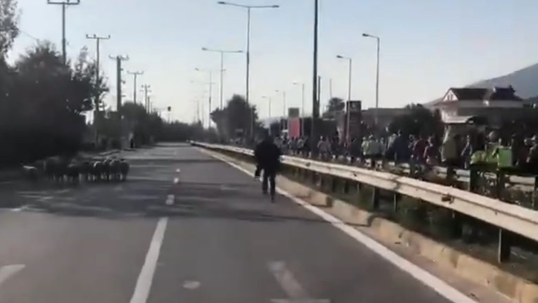 Έτρεξε και η ομάδα του ΟΠΕΚΕΠΕ στον Μαραθώνιο! Έτρεξε και η ομάδα του ΟΠΕΚΕΠΕ στον Μαραθώνιο!