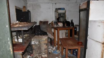 Πρόστιμο «μαμούθ» 1,7 εκ. ευρώ για 58 υποσιτισμένες γάτες που είχε σπίτι του