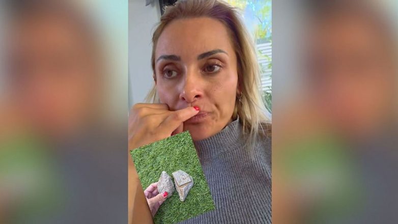 Βασιλική Μιλλούση: «Ανήλικοι πέταξαν πέτρες στο σπίτι μου – Αν τα παιδιά μου έπαιζαν στον κήπο;»