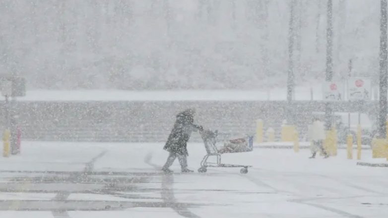 «Χιονοθύελλα λίμνης» στο Μίσιγκαν – Πάγωσαν τα ιγκουάνα στη Φλόριντα
