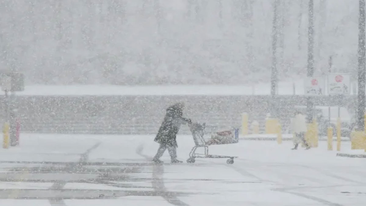 «Χιονοθύελλα λίμνης» στο Μίσιγκαν – Πάγωσαν τα ιγκουάνα στη Φλόριντα