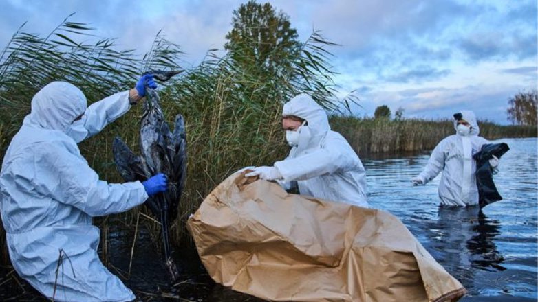 Ισπανία: Απόφαση για καθολικό λοκντάουν στην πτηνοτροφία