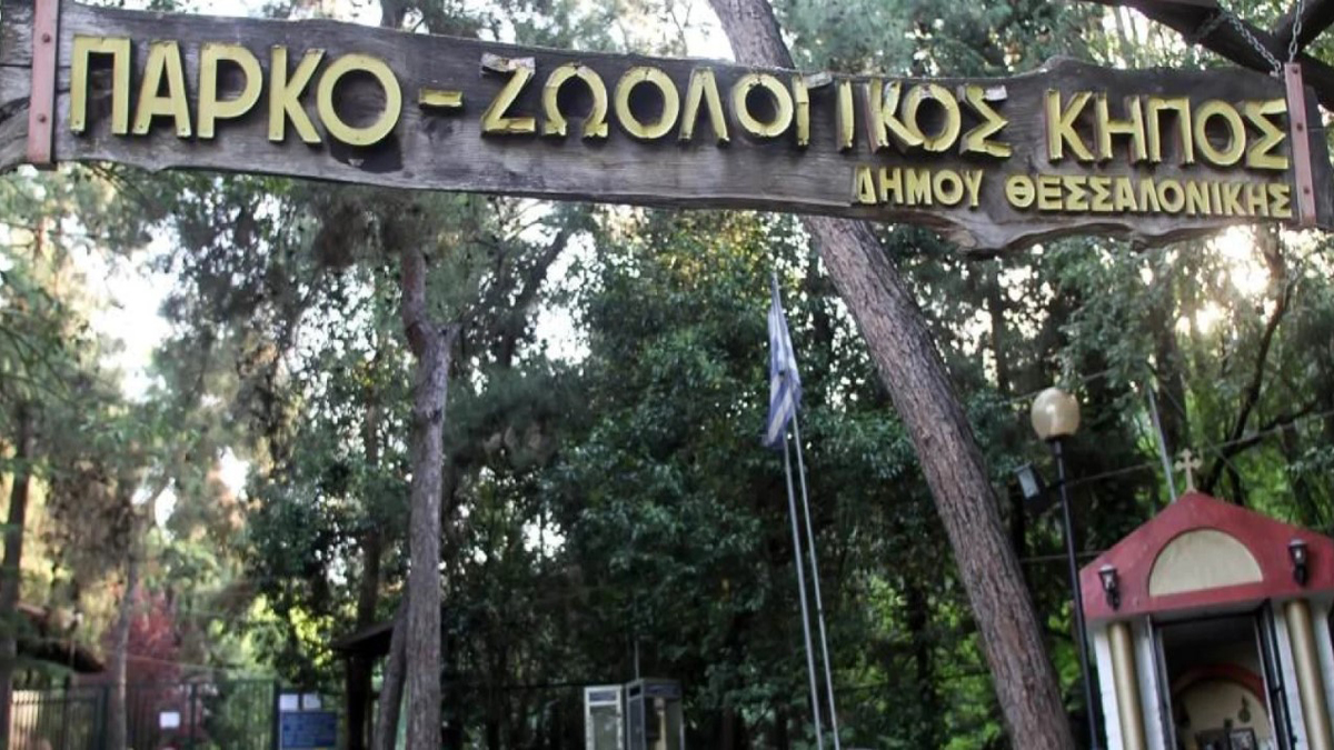 Κλείνει ο Ζωολογικός Κήπος του Δήμου Θεσσαλονίκης ύστερα από θετικό κρούσμα βρουκέλλωσης σε κριό