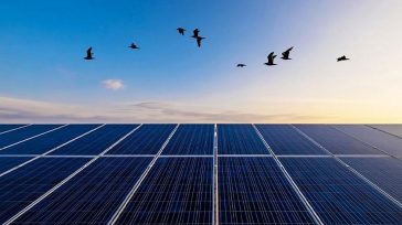 Όμιλος ΔΕΗ: 130 MW φωτοβολταϊκών προστίθενται στη Ρουμανία