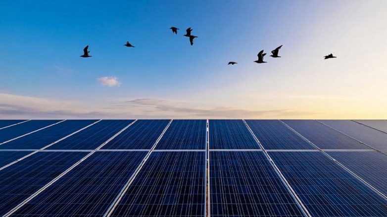 Όμιλος ΔΕΗ: 130 MW φωτοβολταϊκών προστίθενται στη Ρουμανία