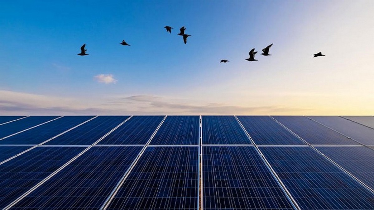 Όμιλος ΔΕΗ: 130 MW φωτοβολταϊκών προστίθενται στη Ρουμανία