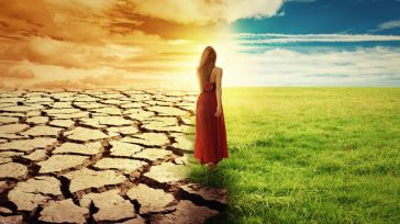 «Πέσε 7 Φορές. Σήκω 8»: Η Νοοτροπία που Αλλάζει τη Ζωή Σου