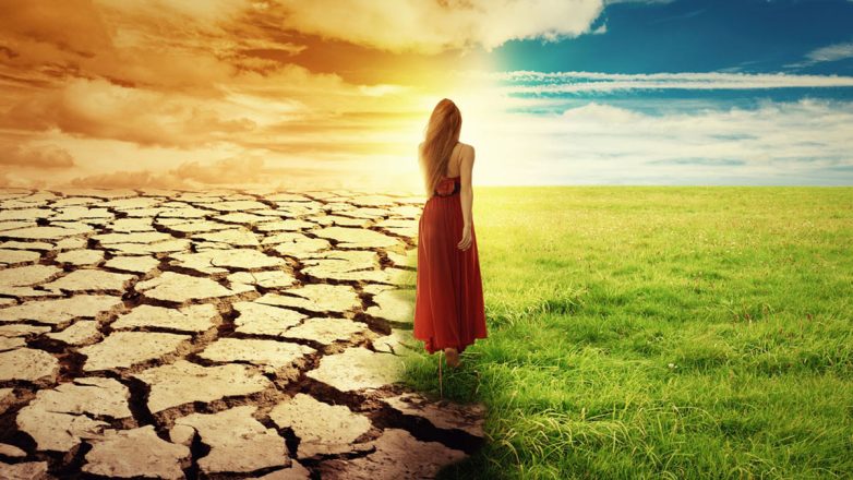 «Πέσε 7 Φορές. Σήκω 8»: Η Νοοτροπία που Αλλάζει τη Ζωή Σου «Πέσε 7 Φορές. Σήκω 8»: Η Νοοτροπία που Αλλάζει τη Ζωή Σου