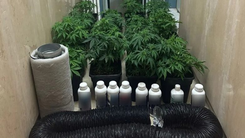 Εντυπωσιακά ευρήματα από την εξαρθρώθηκε εγκληματικής οργάνωσης Εντυπωσιακά ευρήματα από την εξαρθρώθηκε εγκληματικής οργάνωσης