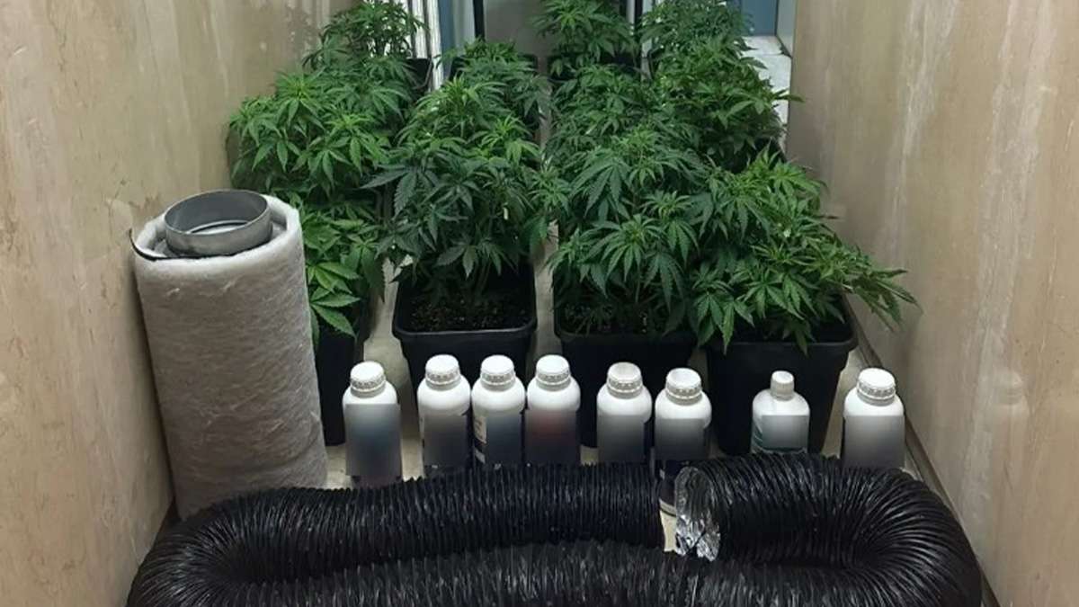 Εντυπωσιακά ευρήματα από την εξαρθρώθηκε εγκληματικής οργάνωσης