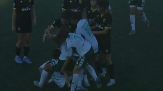 Βίντεο: Ξύλο μεταξύ παικτριών στο ντέρμπι ΑΕΚ-Παναθηναϊκός