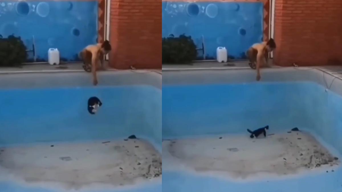 Απρόβλεπτη αναμέτρηση σε άδεια πισίνα