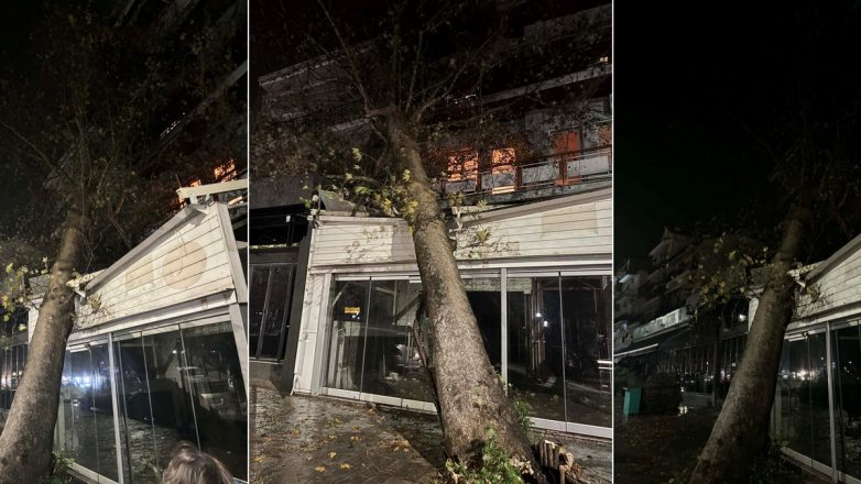 Τεράστιο πλατάνι κατέπεσε σε κατάστημα στην παραλιακή της Ηγουμενίτσας