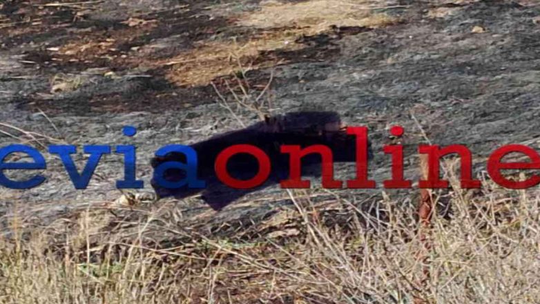 Τραγωδία στην Εύβοια: Ένας νεκρός από φωτιά σε χωράφι