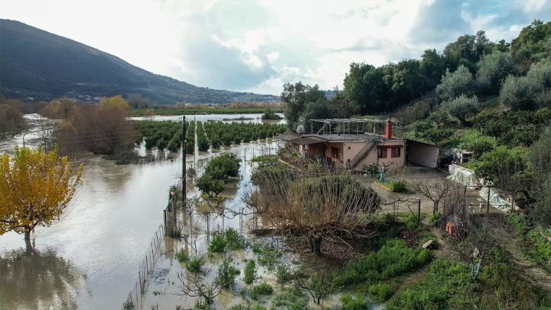 Πνίγηκαν στα νερά τα μανταρίνια της Βρυσέλλας Πνίγηκαν στα νερά τα μανταρίνια της Βρυσέλλας