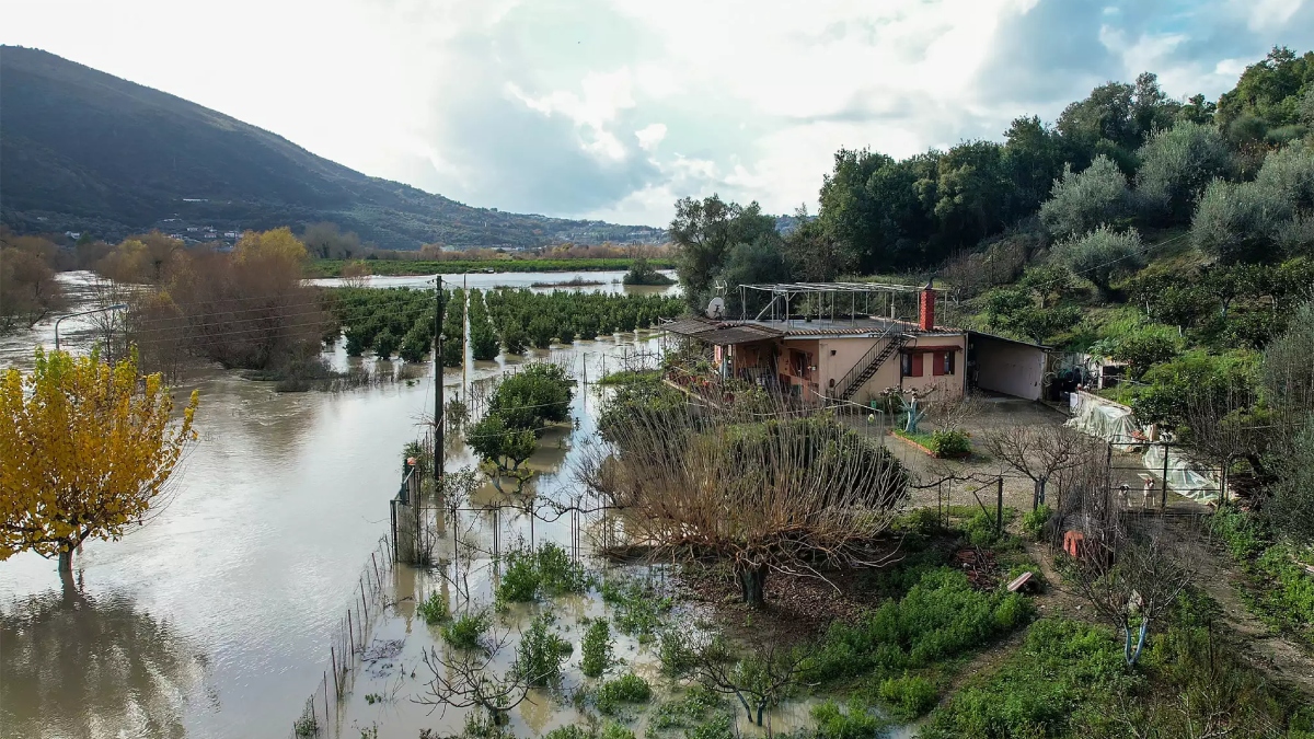 Πνίγηκαν στα νερά τα μανταρίνια της Βρυσέλλας
