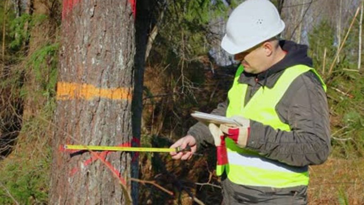 Σε εξέλιξη η διαδικασία προσλήψεων για 176 δασοπόνους και 105 δασολόγους σε όλη την Ελλάδα