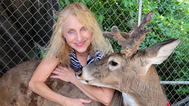 ΗΠΑ: Ελάφι σκότωσε 64χρονη που το φρόντιζε