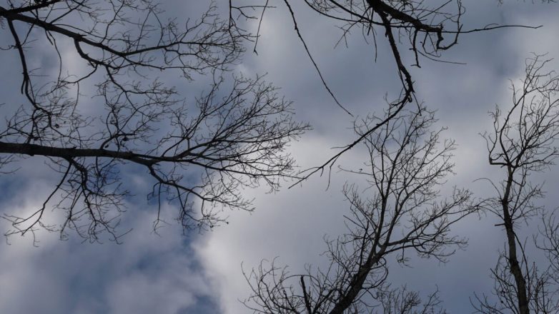 Ψυχραίνει ο καιρός: Πού έπεσαν τα πρώτα χιόνια Ψυχραίνει ο καιρός: Πού έπεσαν τα πρώτα χιόνια