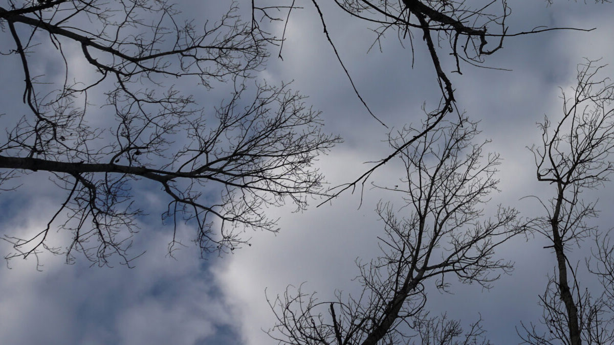 Ψυχραίνει ο καιρός: Πού έπεσαν τα πρώτα χιόνια