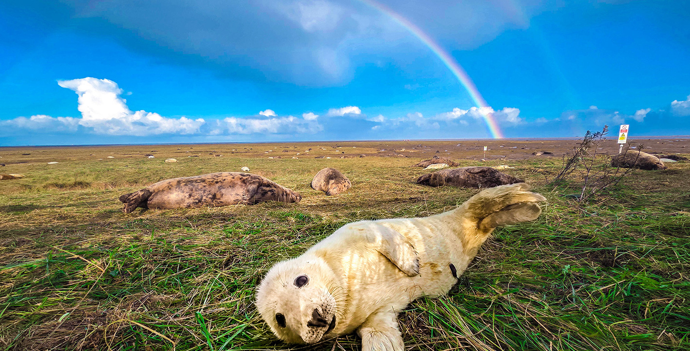 Με θέα το ουράνιο τόξο