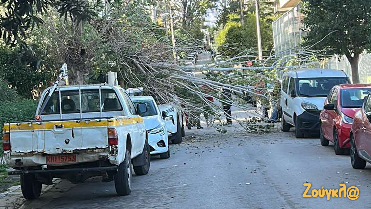 Νέο Ψυχικό: Δέντρο καταπλάκωσε αυτοκίνητα, πέφτοντας από τον αέρα