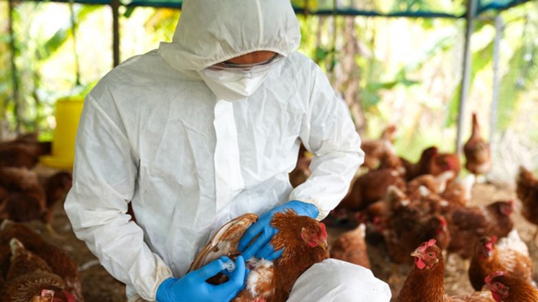 Ο ιός της γρίπης των πτηνών θα μπορούσε να προκαλέσει πανδημία χειρότερη της COVID