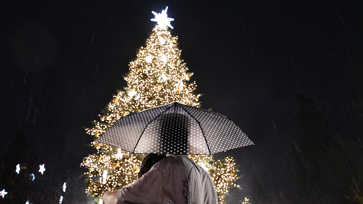 Φωταγωγήθηκε το χριστουγεννιάτικο δέντρο στο Σύνταγμα