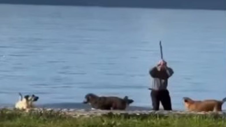 Αλβανία: Άνδρας επιτίθεται σε αδέσποτα σκυλιά – Το βίντεο που δίχασε το Διαδίκτυο