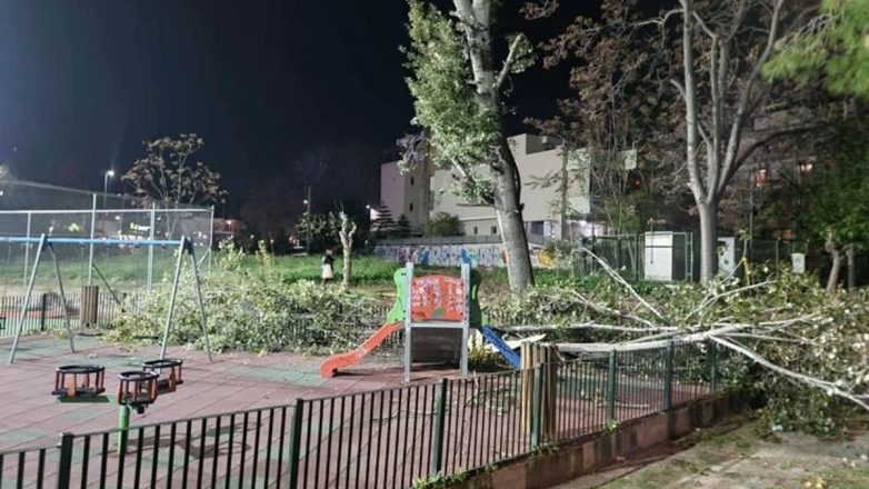 Δέντρο ξεριζώθηκε και έπεσε σε παιδική χαρά στο Χαϊδάρι Δέντρο ξεριζώθηκε και έπεσε σε παιδική χαρά στο Χαϊδάρι
