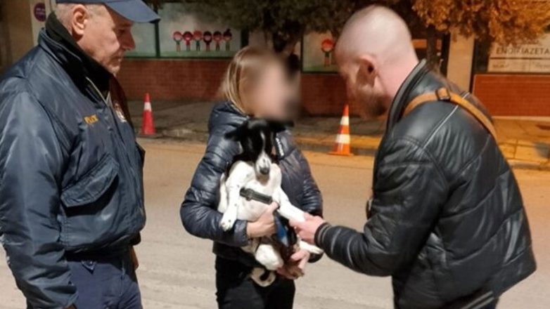 Πρόστιμα σε ιδιοκτήτες ζώων συντροφιάς στη Θεσσαλονίκη