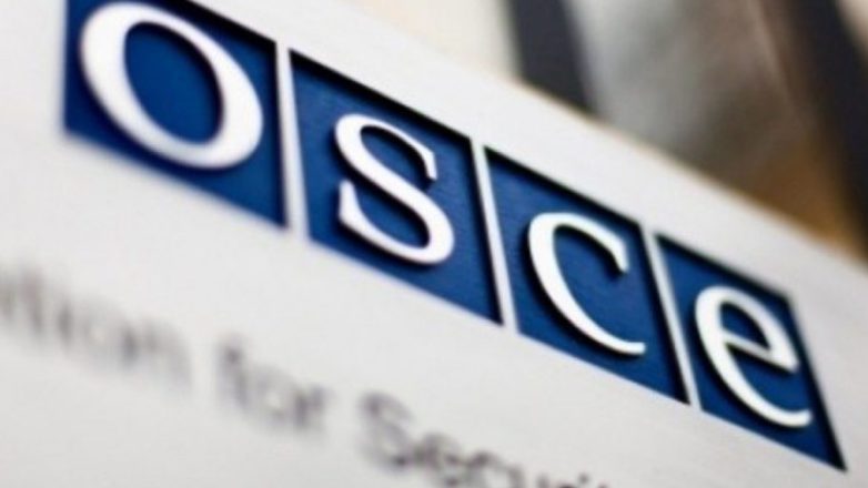 Ελβετία: Ο ΟΑΣΕ να διαδραματίσει βασικό ρόλο στην επιτήρηση της εκεχειρίας στην Ουκρανία