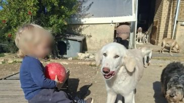 Τα 30 δευτερόλεπτα που κόστισαν τη ζωή του δίχρονου Λίο