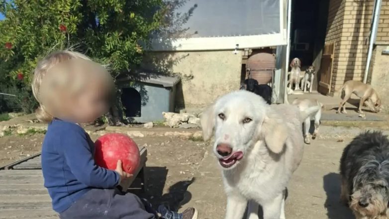 «Τον έχασα από τα μάτια μου για 30 δευτερόλεπτα» λέει ο τραγικός πατέρας του δίχρονου Λίο που κατακρεούργησε το πίτμπουλ