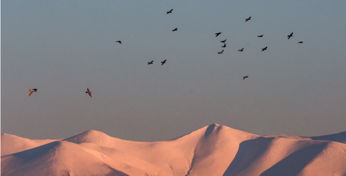 Χιονισμένες κορυφές του Ολύμπου