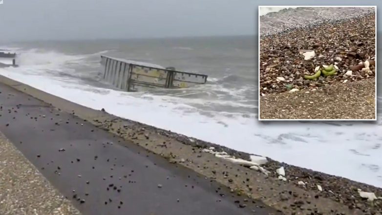 Βρετανία: Μπανάνες ξεβράστηκαν στις ακτές της νότιας Αγγλίας