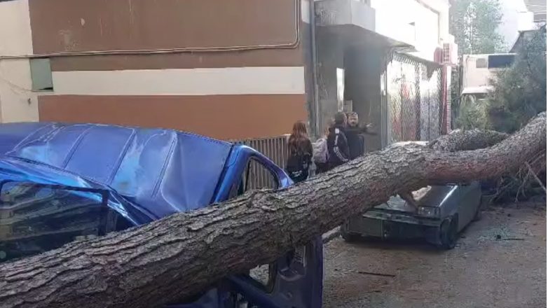 Δέντρο καταπλάκωσε σταθμευμένα οχήματα στη Θεσσαλονίκη Δέντρο καταπλάκωσε σταθμευμένα οχήματα στη Θεσσαλονίκη